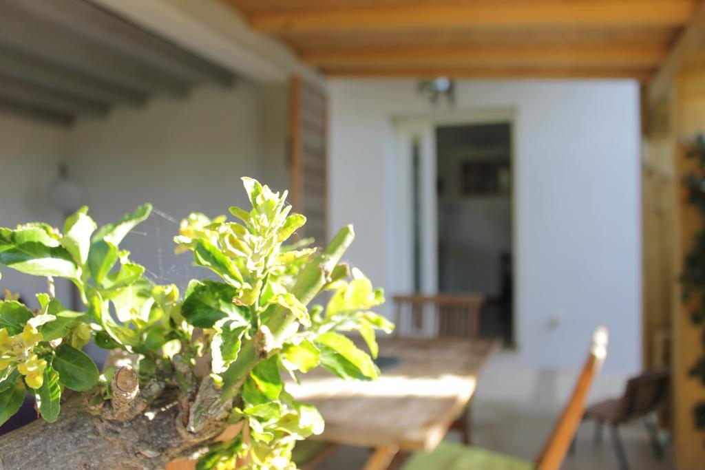 Appartement Les jardins de Porto-Pollo Extérieur photo